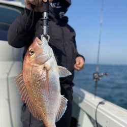 リトルワン 釣果