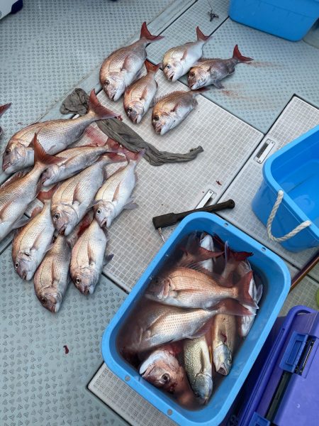 リトルワン 釣果