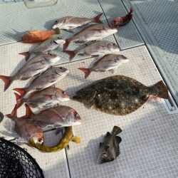 リトルワン 釣果