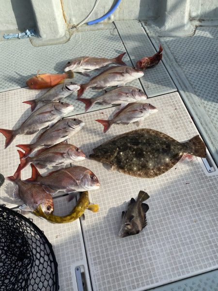 リトルワン 釣果