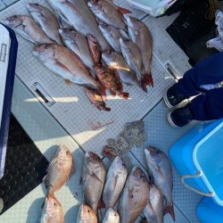 リトルワン 釣果