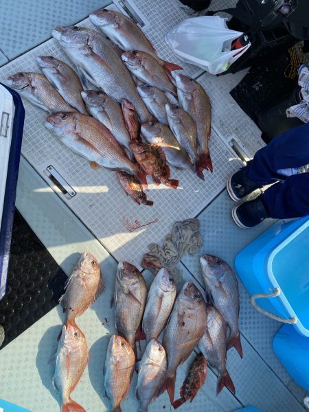 リトルワン 釣果