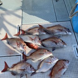 リトルワン 釣果