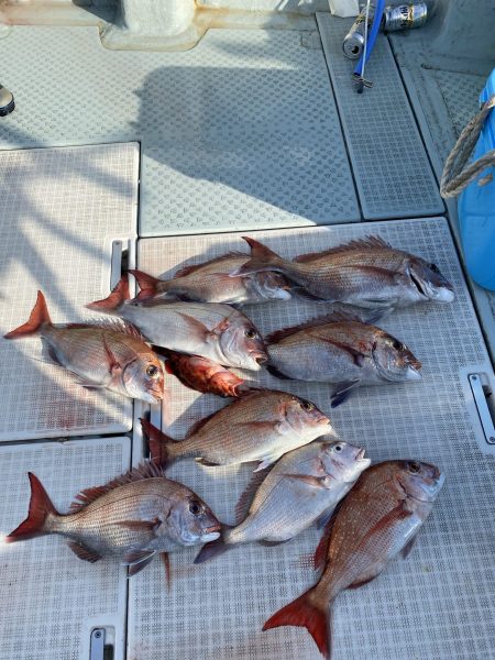 リトルワン 釣果