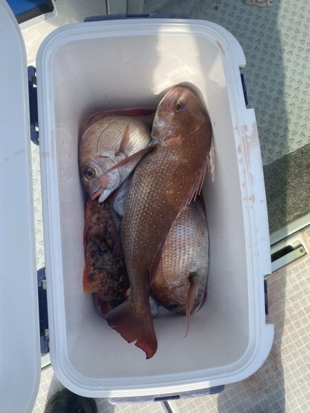 リトルワン 釣果