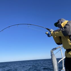 松鶴丸 釣果