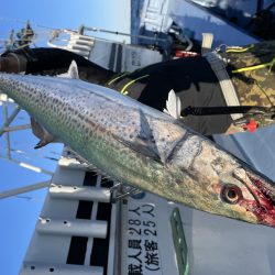 松鶴丸 釣果
