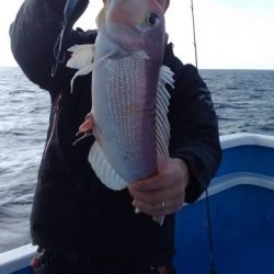 和丸(三重) 釣果