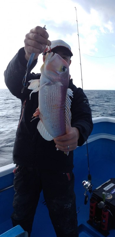 和丸(三重) 釣果