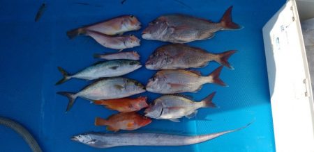 和丸(三重) 釣果