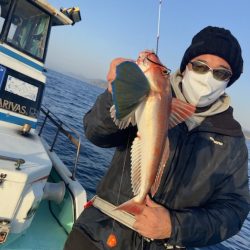 シードリーム 釣果