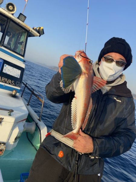 シードリーム 釣果