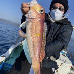 シードリーム 釣果