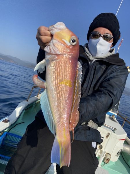 シードリーム 釣果