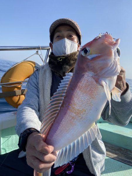 シードリーム 釣果