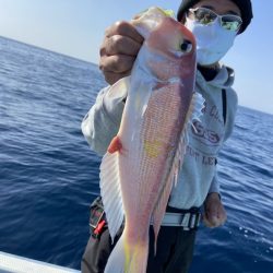 シードリーム 釣果