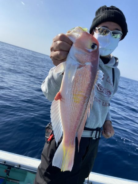 シードリーム 釣果