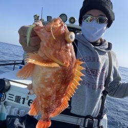 シードリーム 釣果