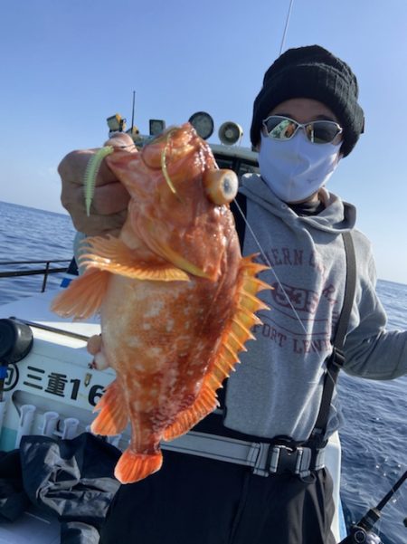 シードリーム 釣果