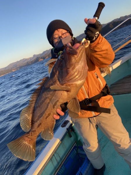 シードリーム 釣果