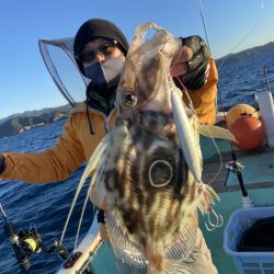 シードリーム 釣果