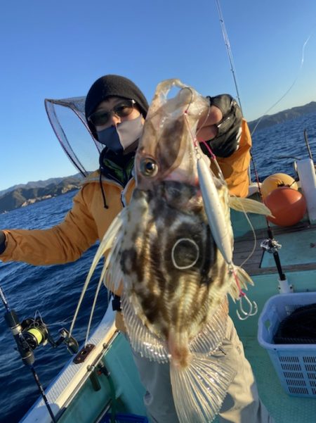 シードリーム 釣果