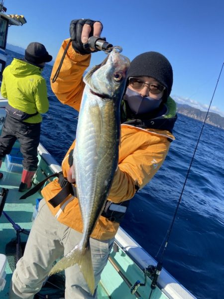 シードリーム 釣果