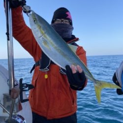 シーモンキー 釣果