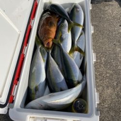 シーモンキー 釣果