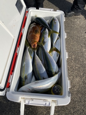 シーモンキー 釣果