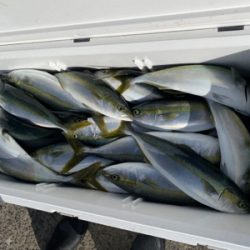 シーモンキー 釣果