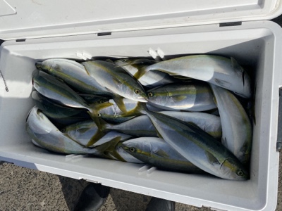 シーモンキー 釣果