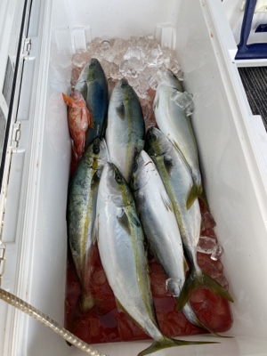 シーモンキー 釣果