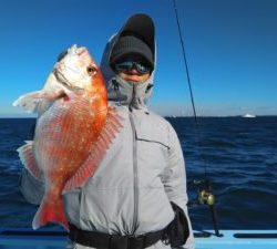 東京湾探釣隊ぼっち 釣果