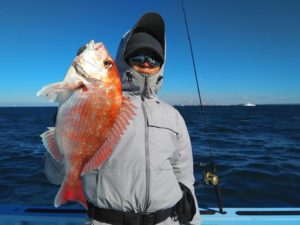 東京湾探釣隊ぼっち 釣果