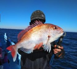 東京湾探釣隊ぼっち 釣果
