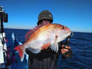 東京湾探釣隊ぼっち 釣果