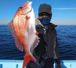 東京湾探釣隊ぼっち 釣果