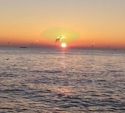 東京湾探釣隊ぼっち 釣果