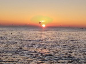 東京湾探釣隊ぼっち 釣果