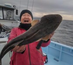 東京湾探釣隊ぼっち 釣果