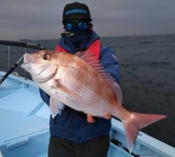 東京湾探釣隊ぼっち 釣果