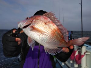 東京湾探釣隊ぼっち 釣果