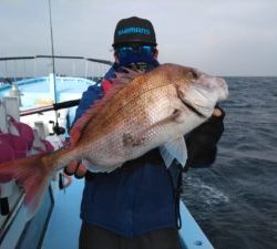 東京湾探釣隊ぼっち 釣果