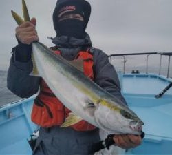 東京湾探釣隊ぼっち 釣果