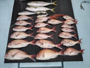 東京湾探釣隊ぼっち 釣果