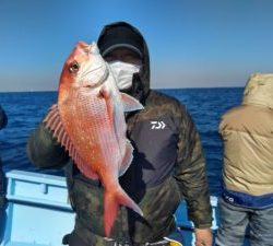 東京湾探釣隊ぼっち 釣果