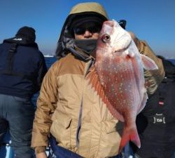 東京湾探釣隊ぼっち 釣果