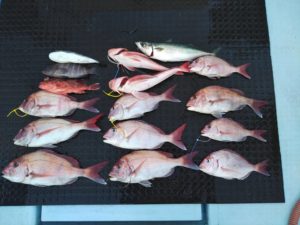 東京湾探釣隊ぼっち 釣果