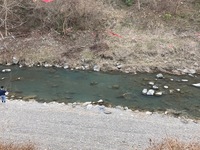 秩父フライフィールド 釣果